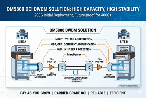 के बारे में नवीनतम कंपनी का मामला Short Distance 200G to 400G Scalable DWDM DCI Solution